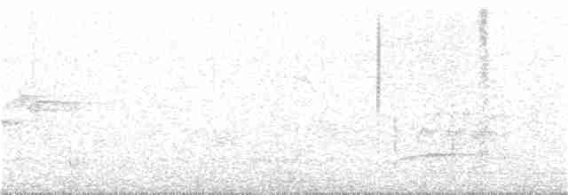 Сероголовый аттила - ML361983851