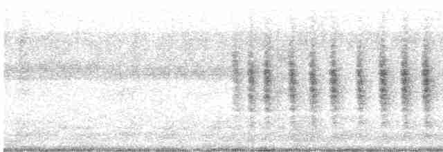 Woodchat Shrike - ML361989871