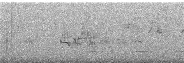 Weißflecken-Ameisenpitta - ML361992771