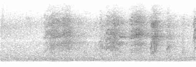 Калита сіроволий - ML362163801