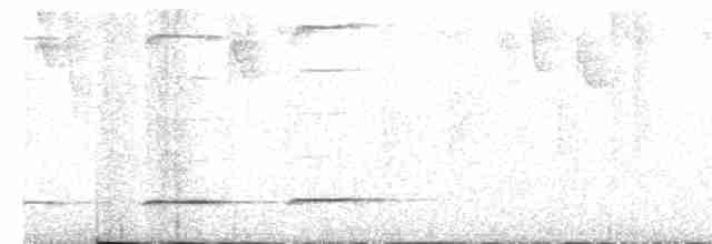 Grallaire de Przewalski - ML362173311