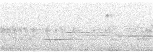 Белогорлая зонотрихия - ML362199631