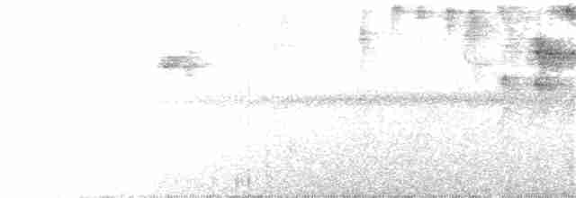 Chiriqui Quail-Dove - ML362207541