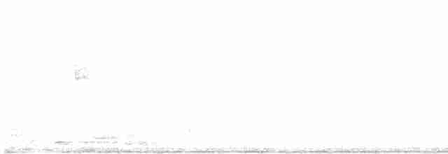 Scissor-tailed Nightjar - ML362219021