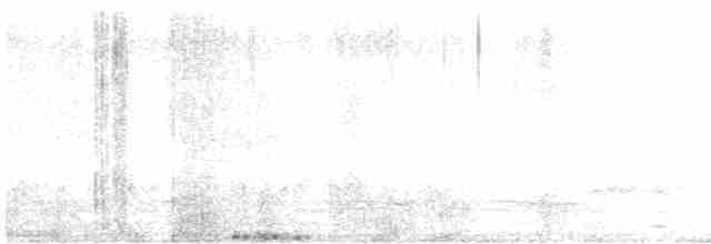 Scissor-tailed Nightjar - ML362219341