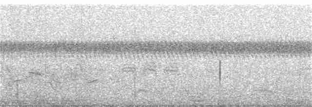 Поплітник каролінський - ML362260461