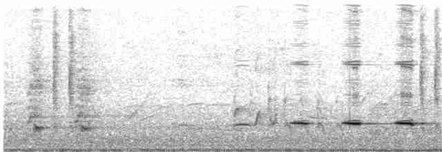 Серогрудый питуи - ML362295151