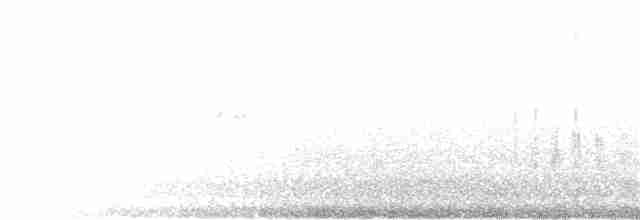 Принія рудолоба - ML362314021