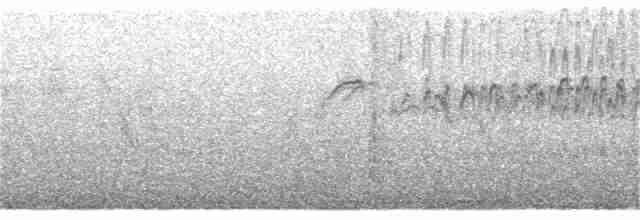 ヒメアマツバメ - ML362332151