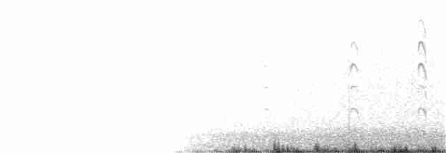 břehouš černoocasý - ML362355471