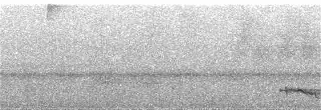 Светлобрюхий колибри-отшельник - ML362362021