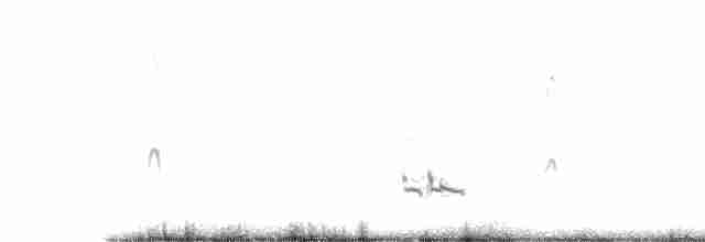 Короткоклювый бекасовидный веретенник - ML362386781