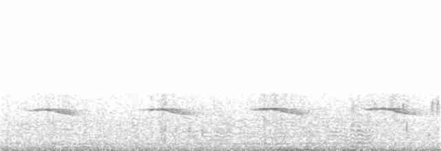 Tinamou sauvageon - ML362424551