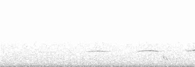 Brushland Tinamou - ML362424611