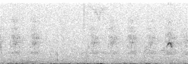 Chaparralgrasmücke - ML362434471