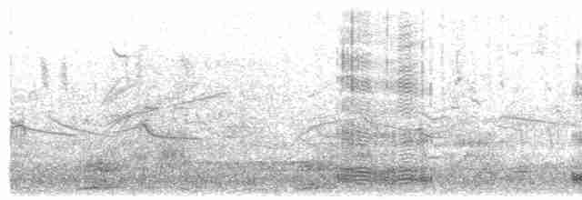 Great Egret (American) - ML362452101