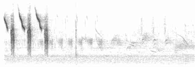 Grass Wren (Northern) - ML362452201