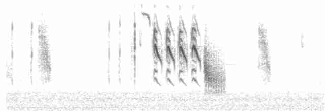 Grass Wren (Northern) - ML362452221