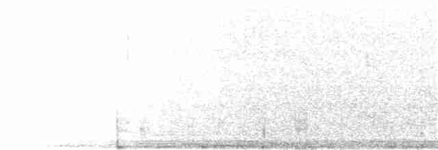 Alondra de Java (grupo cantillans) - ML362536631