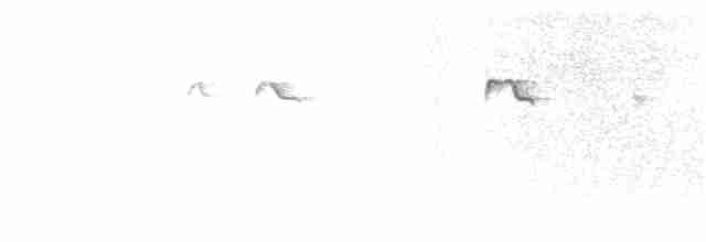 Azure Kingfisher - ML362540531
