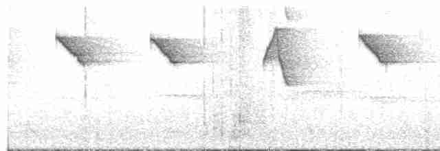 Чешуегорлый колибри-отшельник - ML362566161