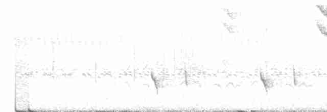 Marsh Antwren (Sao Paulo) - ML362576211