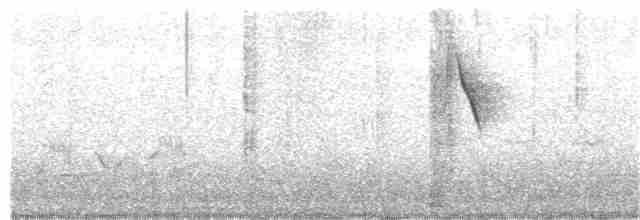 konipas luční (ssp. flava) - ML362576971