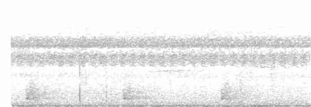 Дрімлюга гірський (підвид poliocephalus) - ML362596561