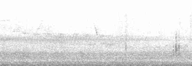 Great Reed Warbler - ML36264