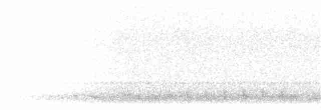 Gray Nightjar - ML362762031