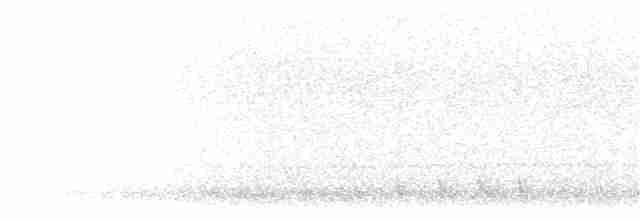 Gray Nightjar - ML362762061