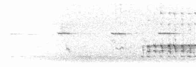 Gray-headed Woodpecker - ML362762071