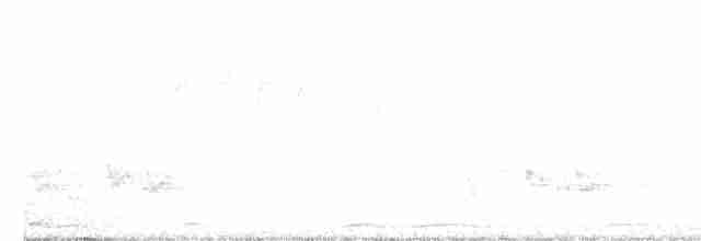 White-shouldered Fire-eye - ML362868111