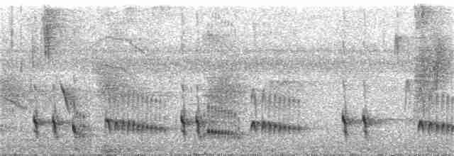 Gri Başlı Todi Sinekkapanı - ML362874801