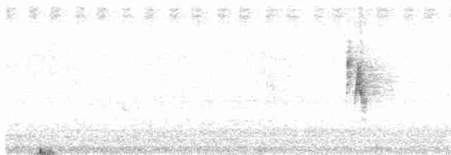 Russet Sparrow - ML362979971