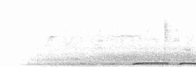 holub hřivnáč - ML363047191