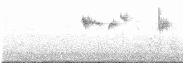 Rufous-tailed Hummingbird - ML363120241
