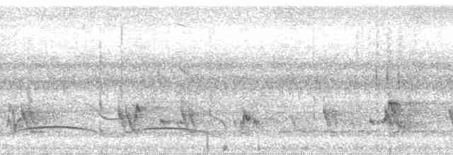 holub hnědoramenný - ML36313