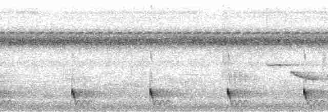 Large-tailed Nightjar - ML36318