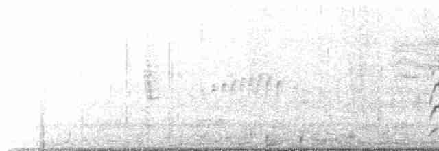 karančo jižní (ssp. cheriway) - ML363192591