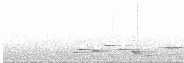 Méliphage carillonneur - ML363290891