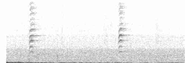Méliphage carillonneur - ML363290931