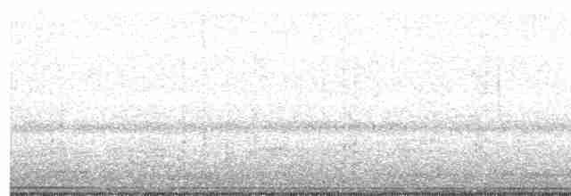 Black-crowned Night Heron - ML36330121