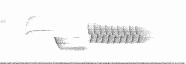 Длиннохвостый крапивник - ML363312061