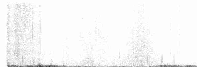 Длиннохвостый поморник - ML363367111