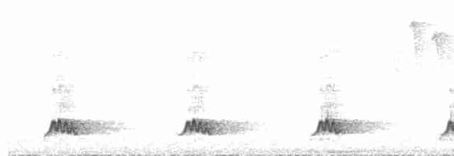 Tinamou à tête rousse - ML363374761