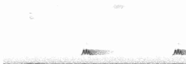 Tinamou à tête rousse - ML363374771