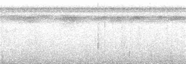 Variegated Tinamou - ML363396821