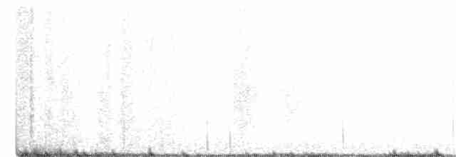 Black-bellied Plover - ML363401501