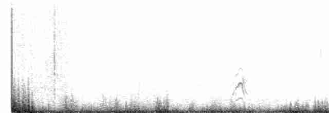Длиннохвостый поморник - ML363402311